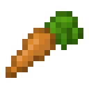 Carrot