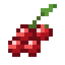 Wild Berries