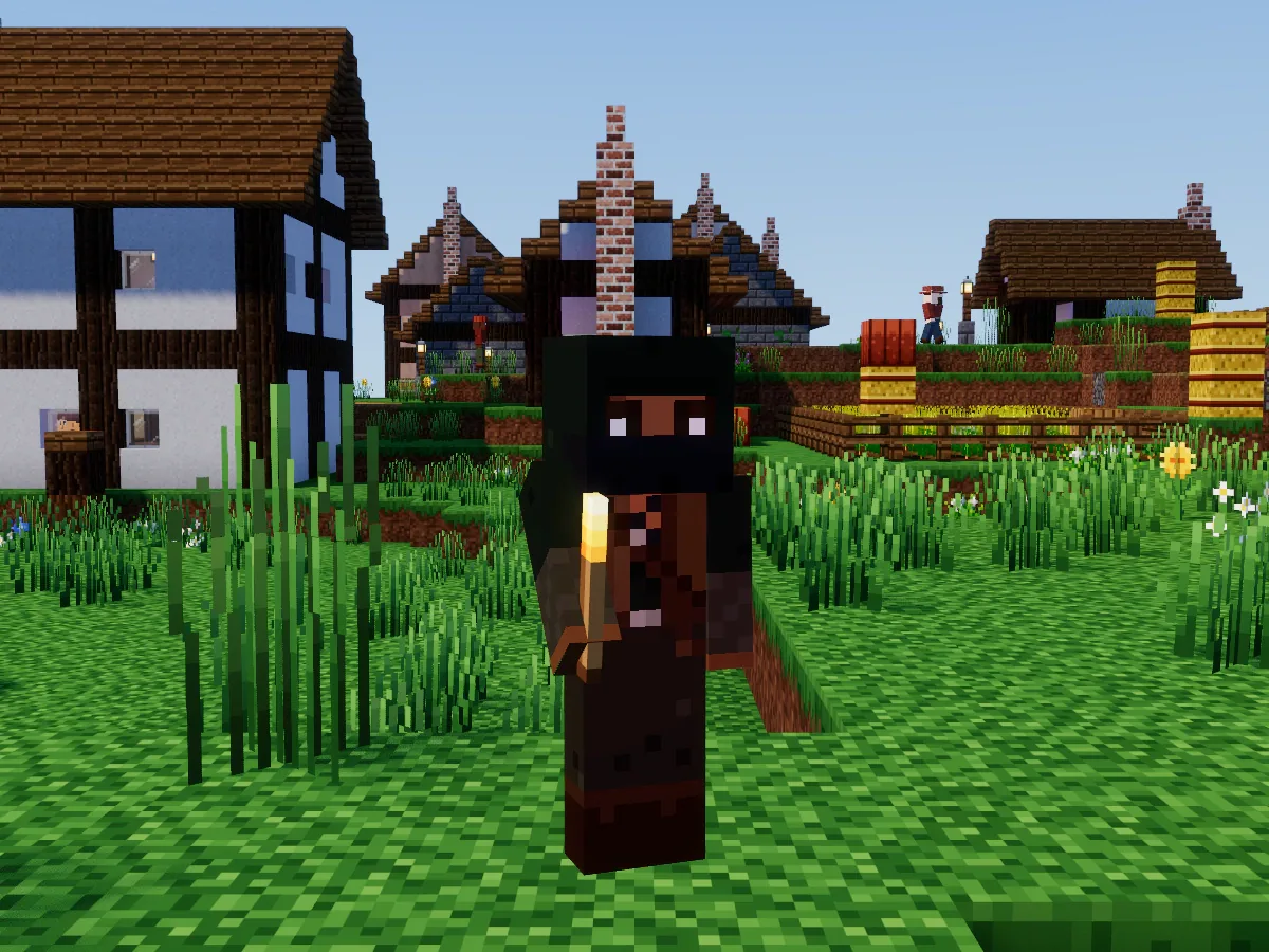 A masked bandit holding a torch