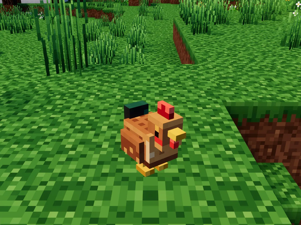 A russet hen