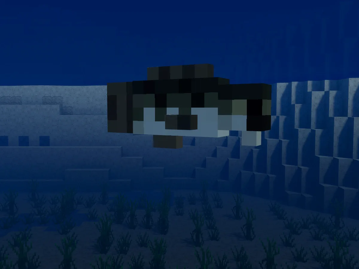 A cod swimming over seagrass