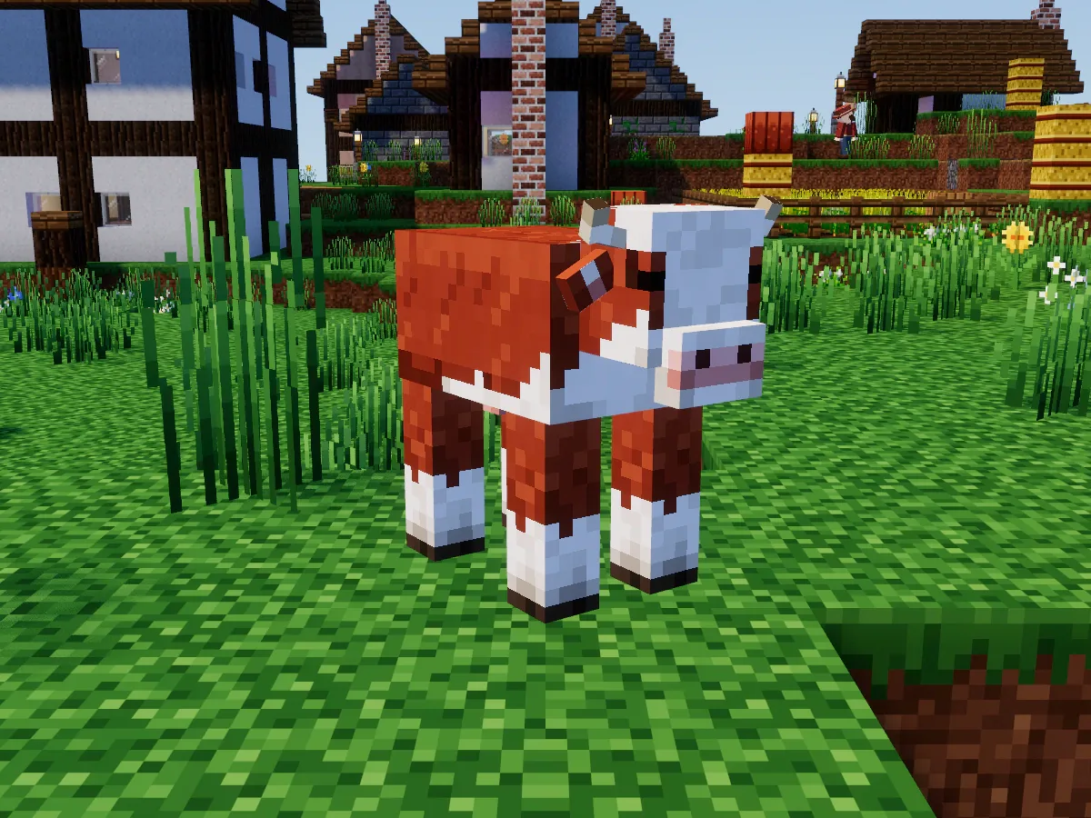 A red and white cow