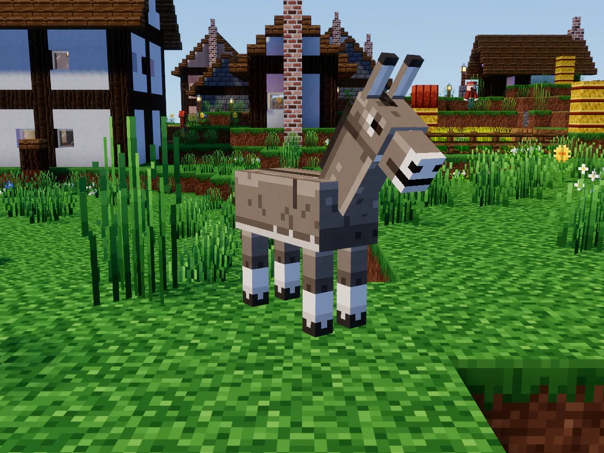 A grey donkey with a dark stripe on its back