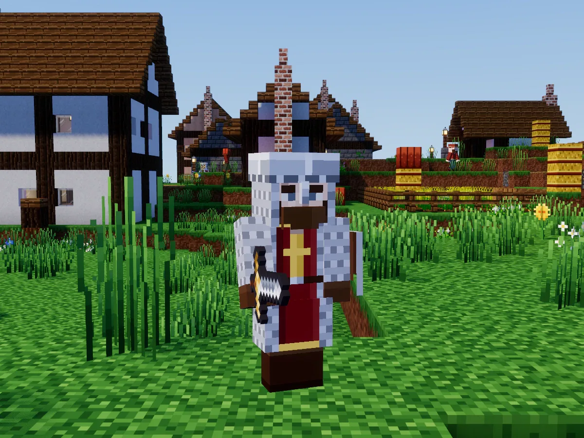A village guard in mail and a tabard