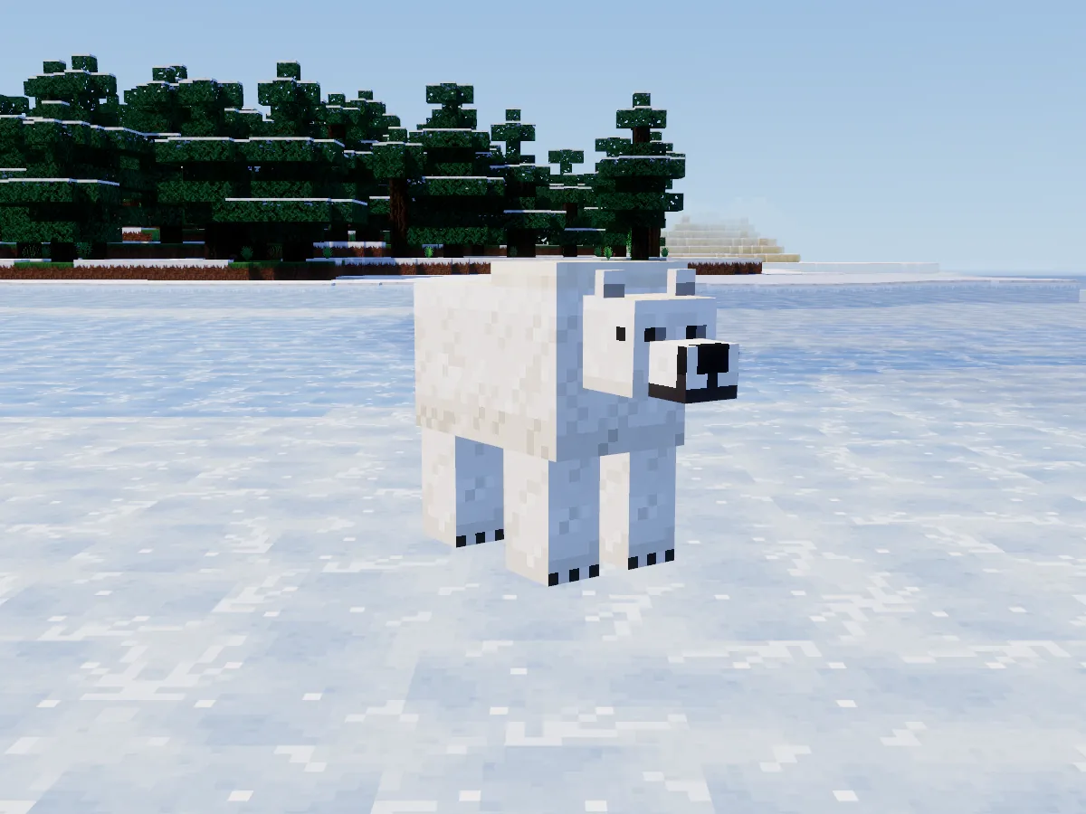 A polar bear on the snow