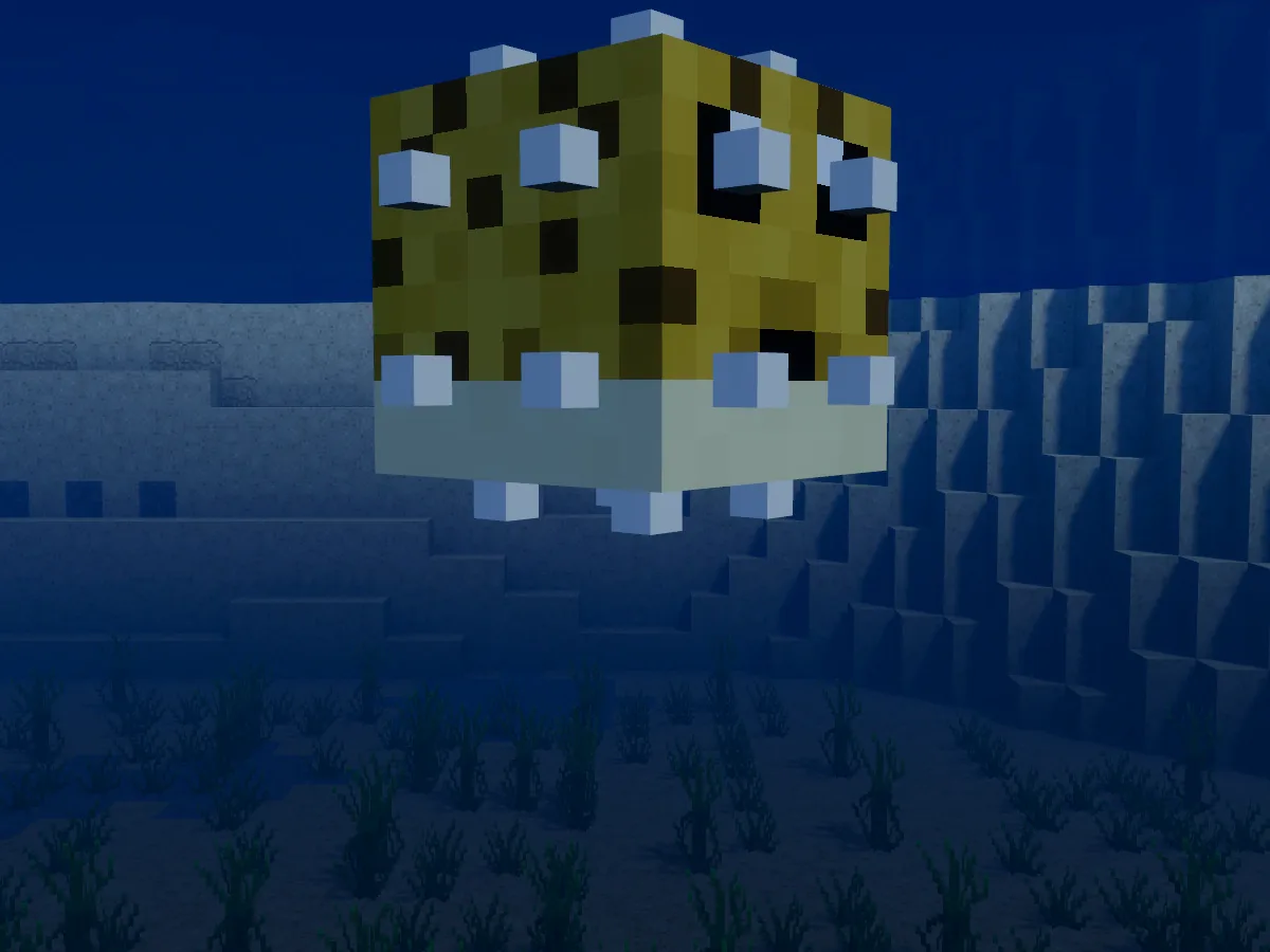 A pufferfish puffed up