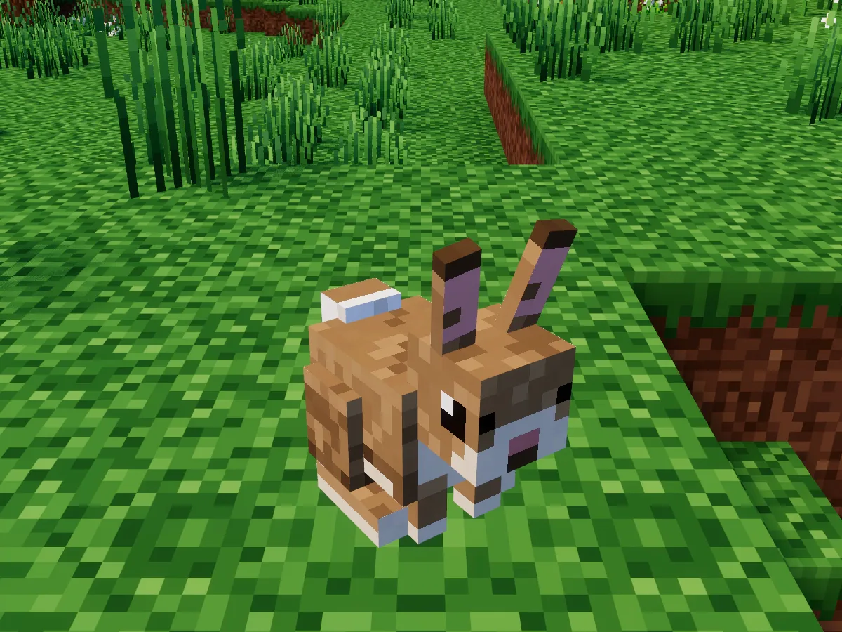 A brown rabbit