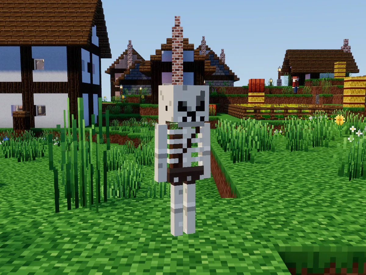 A skeleton