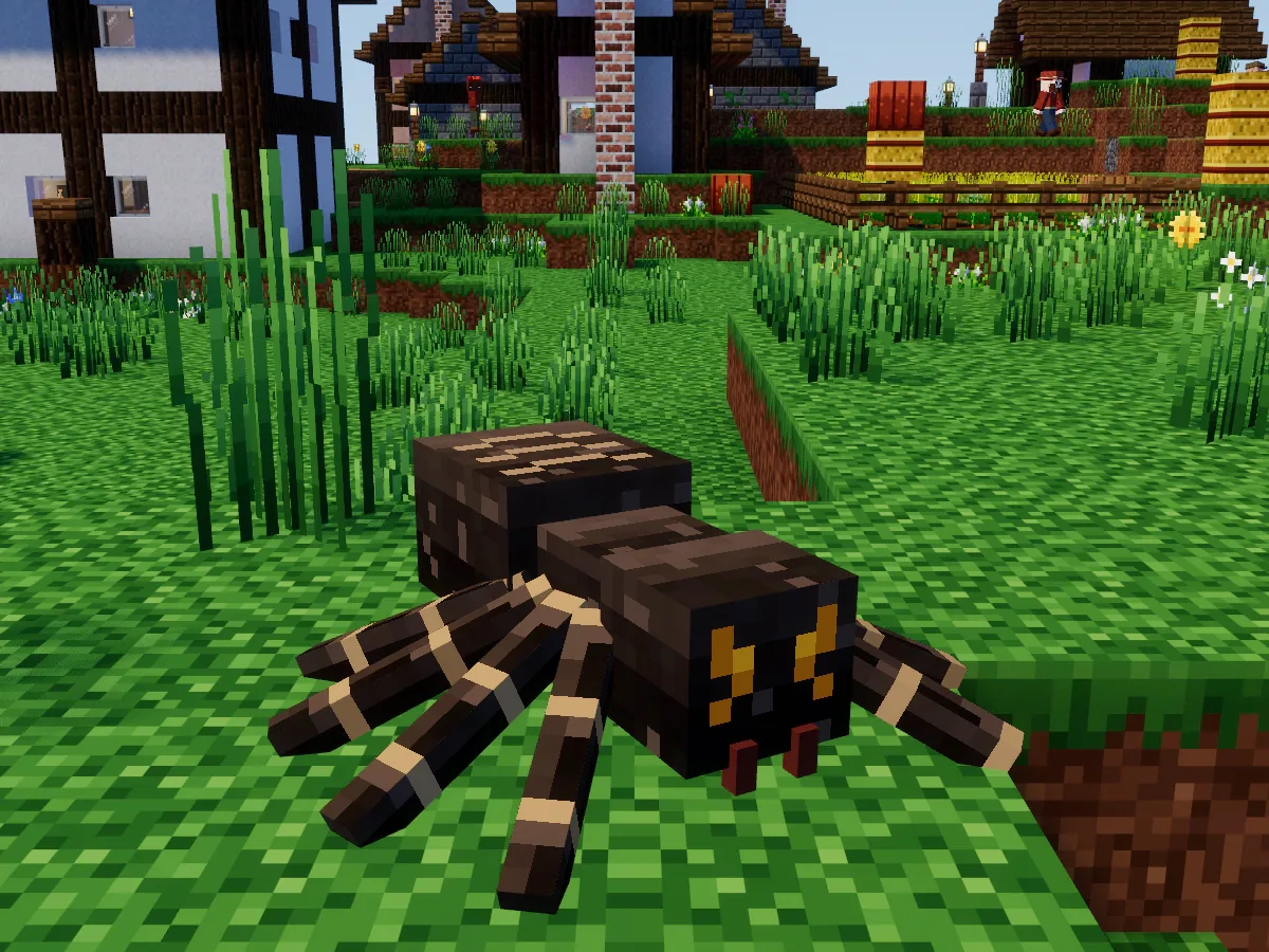 A spider with amber eyes