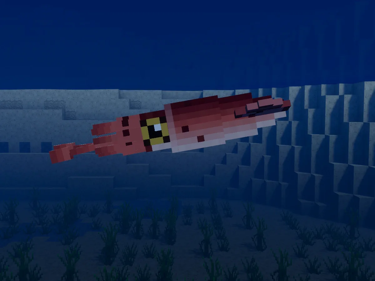 A squid swimming over seagrass in a warm sea