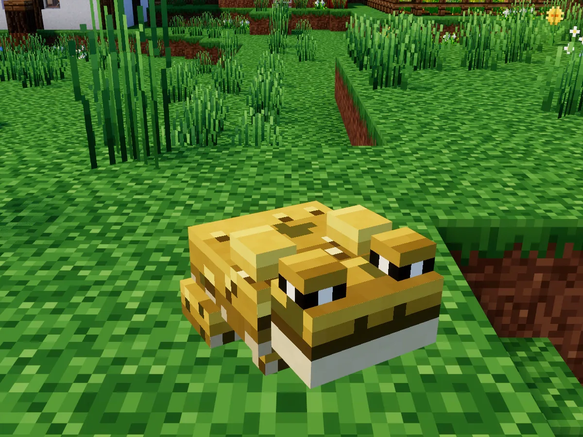 A yellow sulphur toad