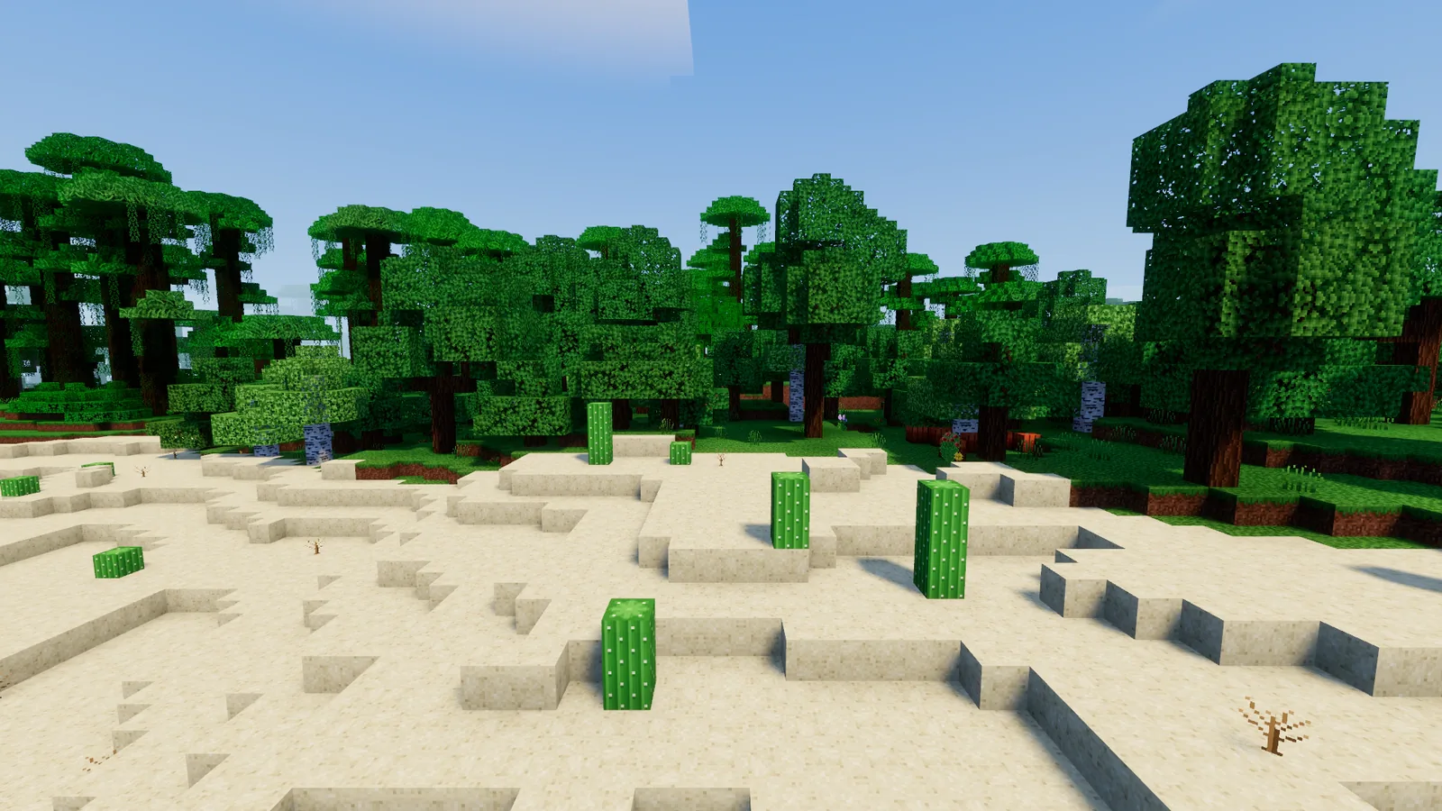 Sand dunes with cacti under a clear sky
