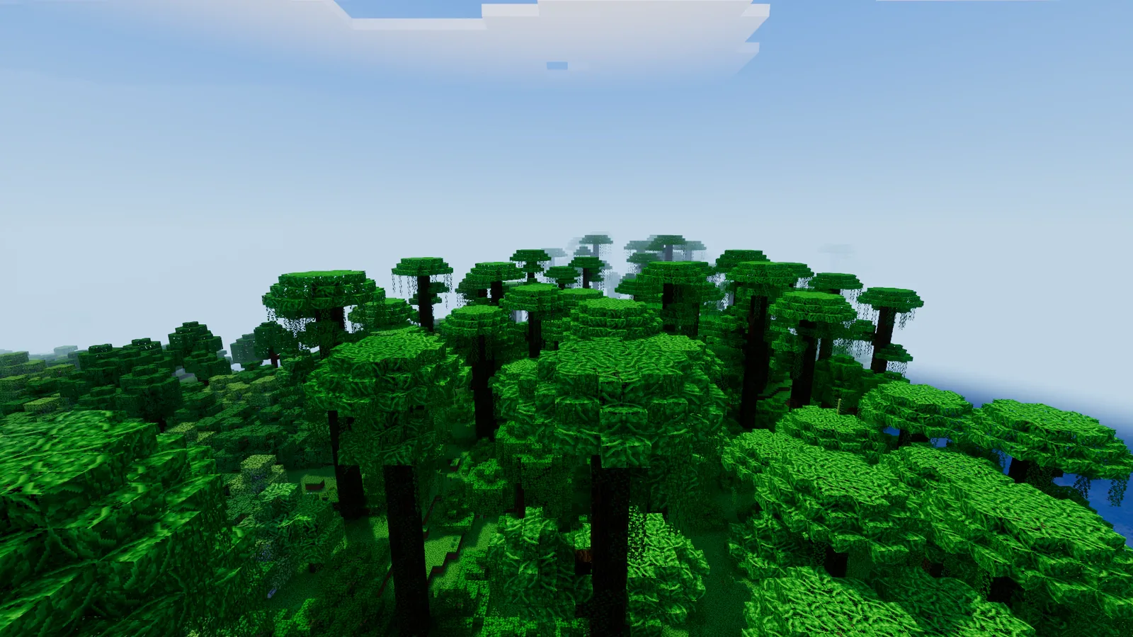 Giant jungle trees hung with vines