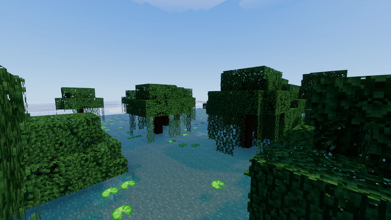 A swamp of oaks hung with vines standing in the water
