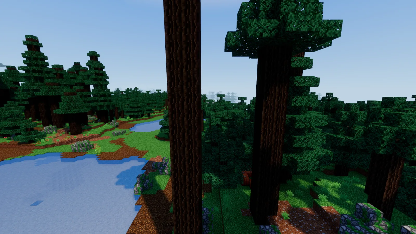 An old taiga of tall spruces and mossy boulders